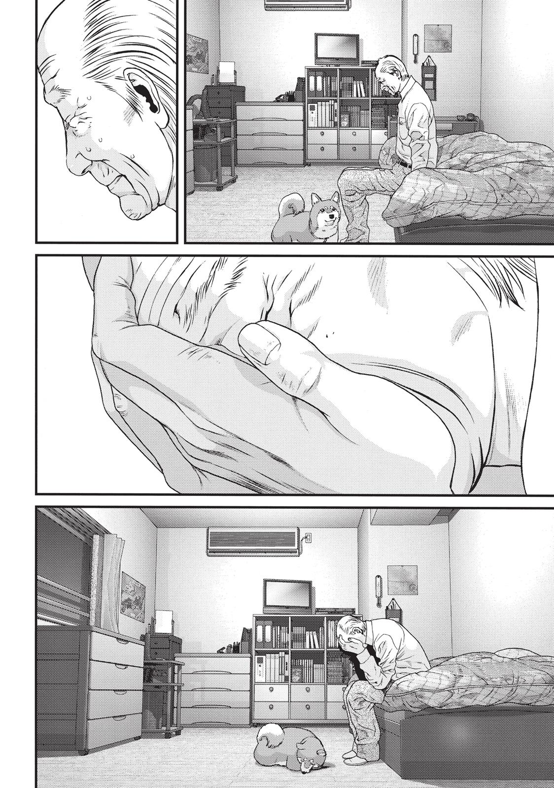 Read Inuyashiki (en) Manga Online