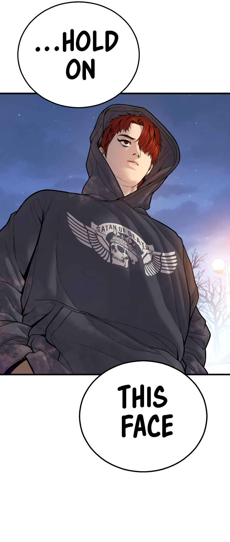 Read Juvenile Offender (en) Manga Online