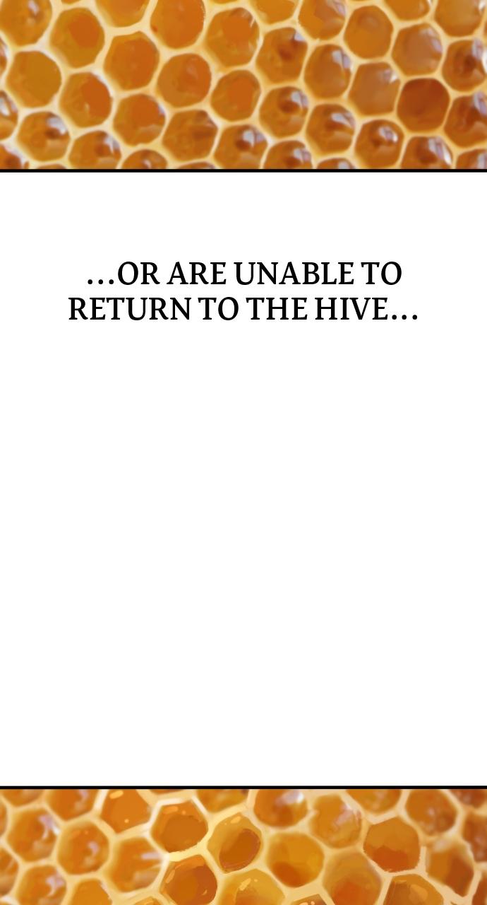 Read Juvenile Offender (en) Manga Online