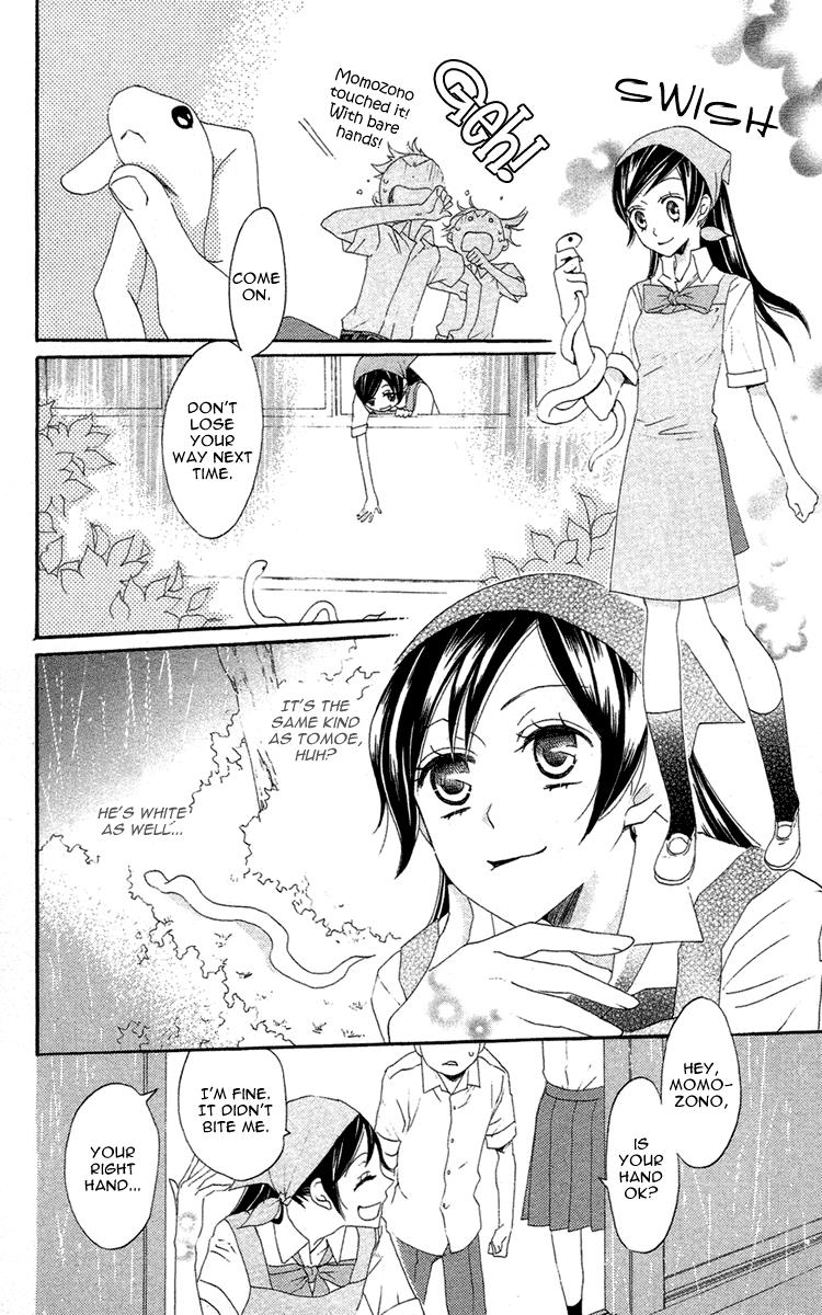 Read Kamisama Kiss (en) Manga Online