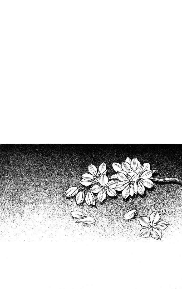 Read Kare Kano (en) Manga Online