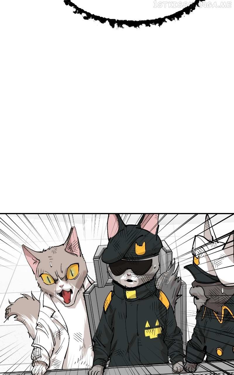 Read Meow Rangers (en) Manga Online