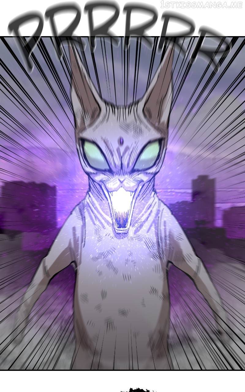 Read Meow Rangers (en) Manga Online