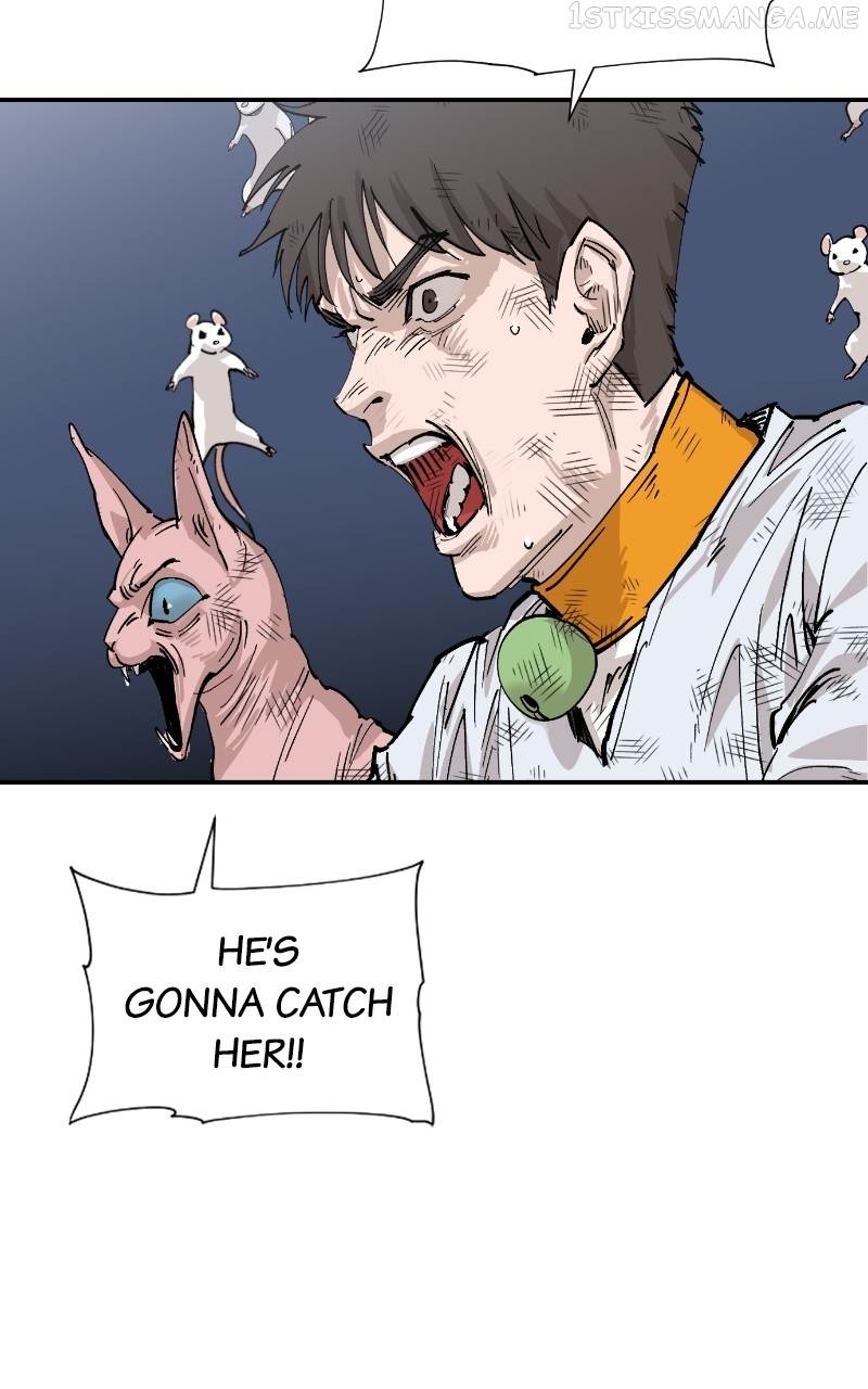 Read Meow Rangers (en) Manga Online