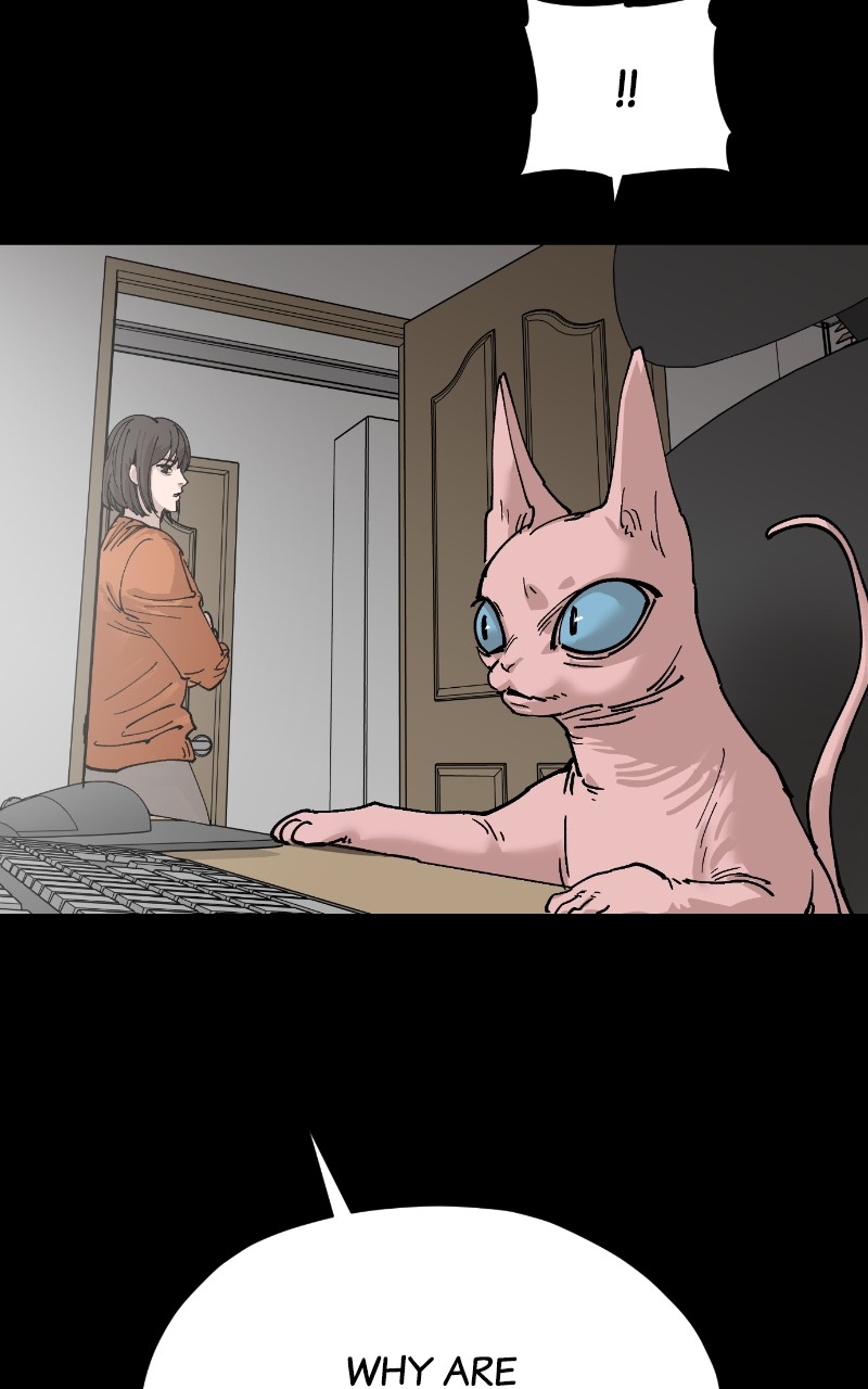 Read Meow Rangers (en) Manga Online
