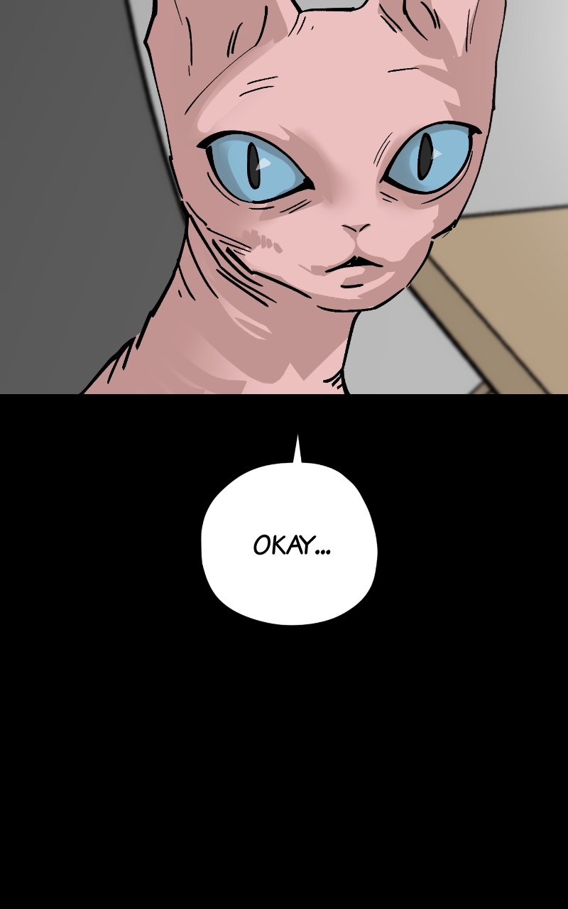 Read Meow Rangers (en) Manga Online
