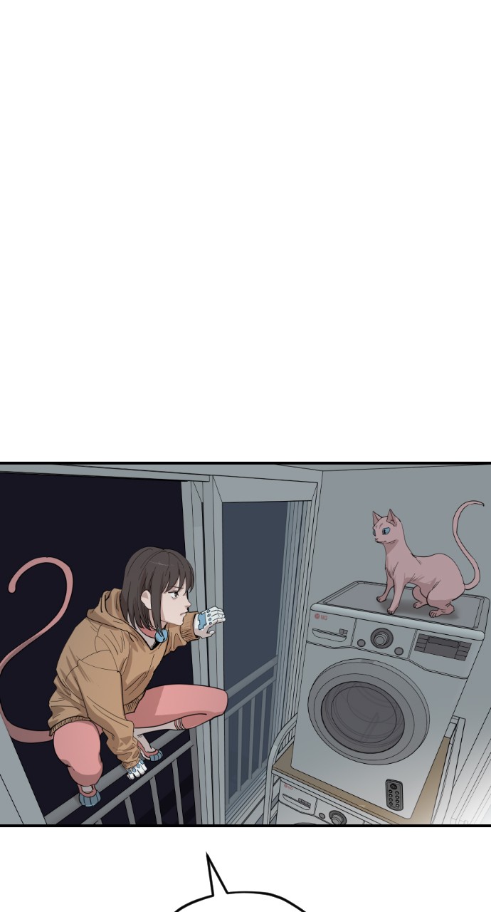 Read Meow Rangers Manga Online