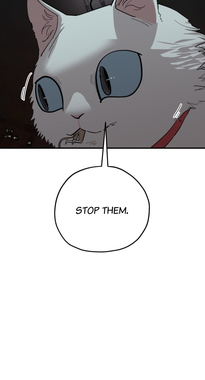 Read Meow Rangers Manga Online