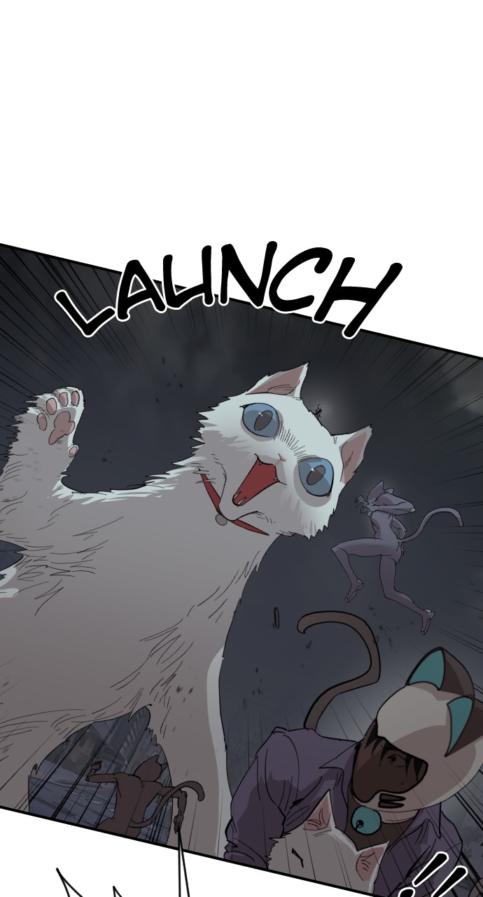 Read Meow Rangers Manga Online