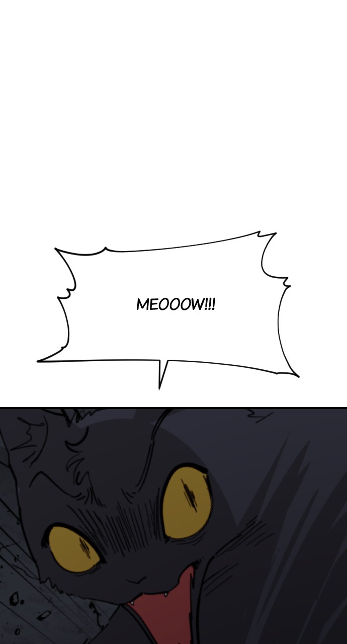 Read Meow Rangers Manga Online