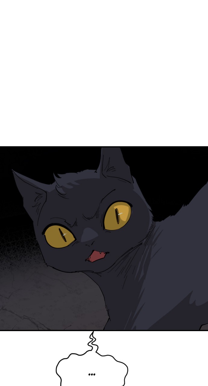 Read Meow Rangers Manga Online