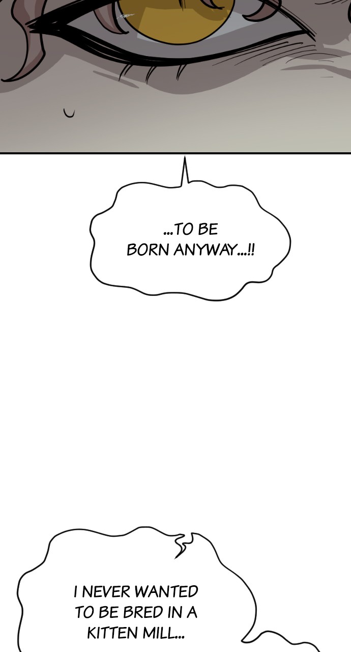 Read Meow Rangers Manga Online