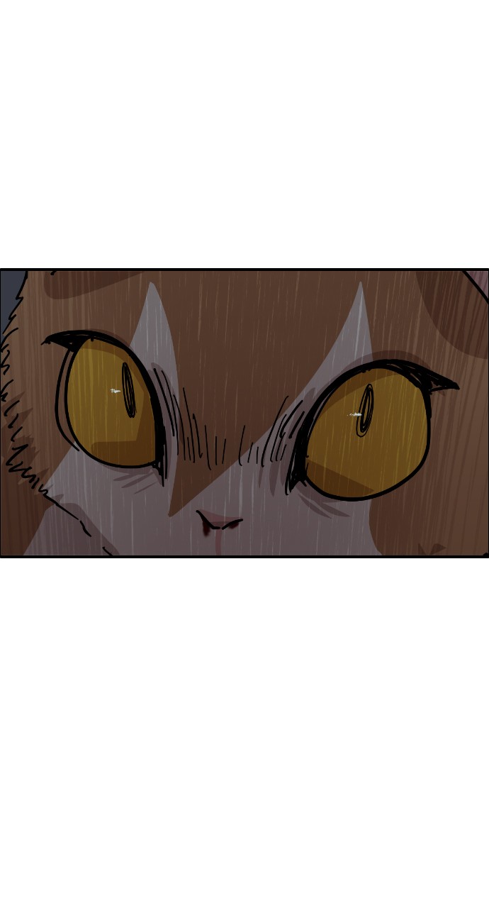 Read Meow Rangers Manga Online