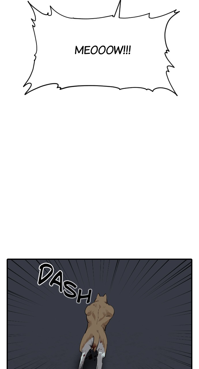 Read Meow Rangers Manga Online