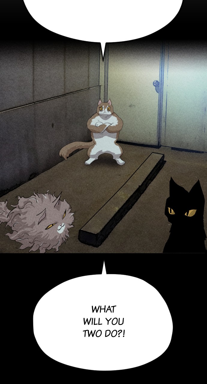 Read Meow Rangers Manga Online