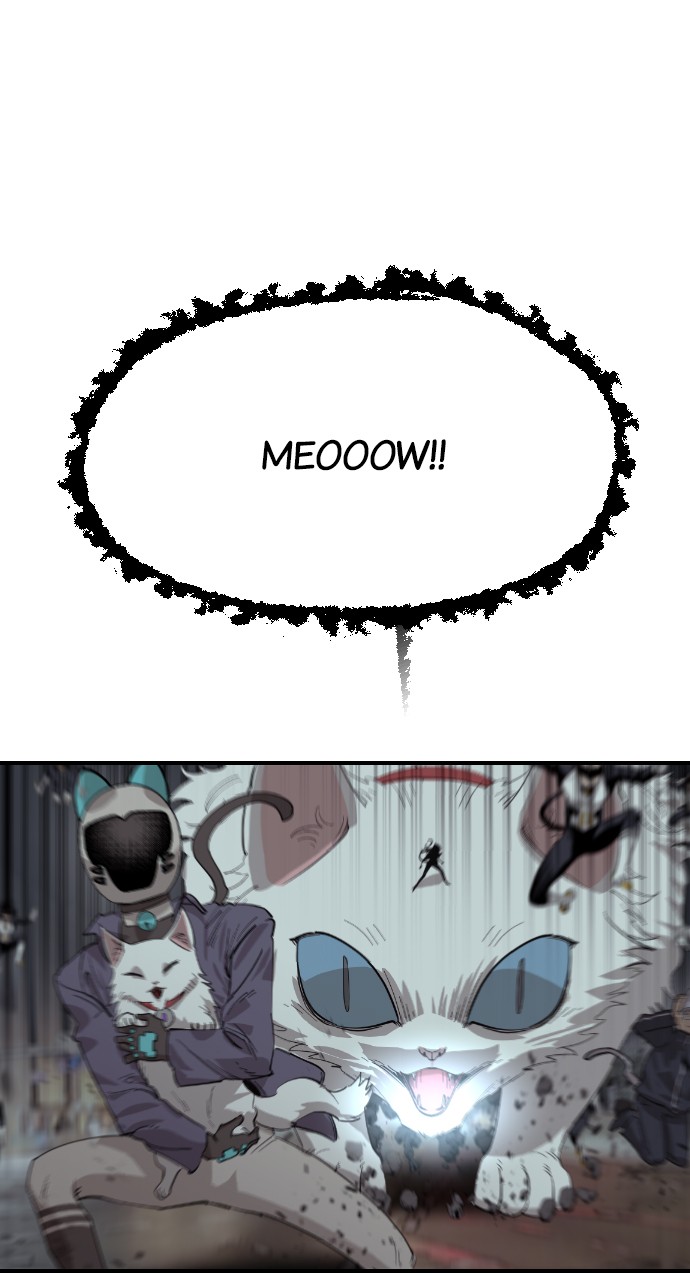 Read Meow Rangers Manga Online