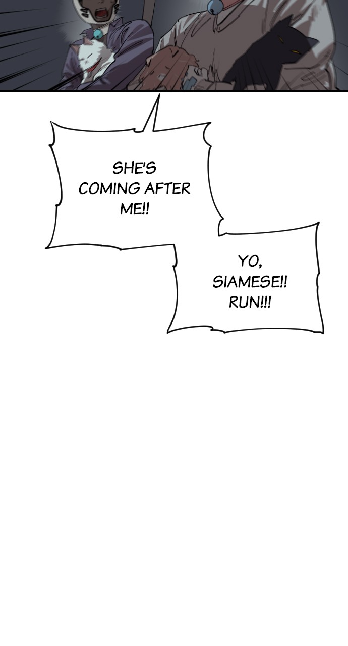 Read Meow Rangers Manga Online