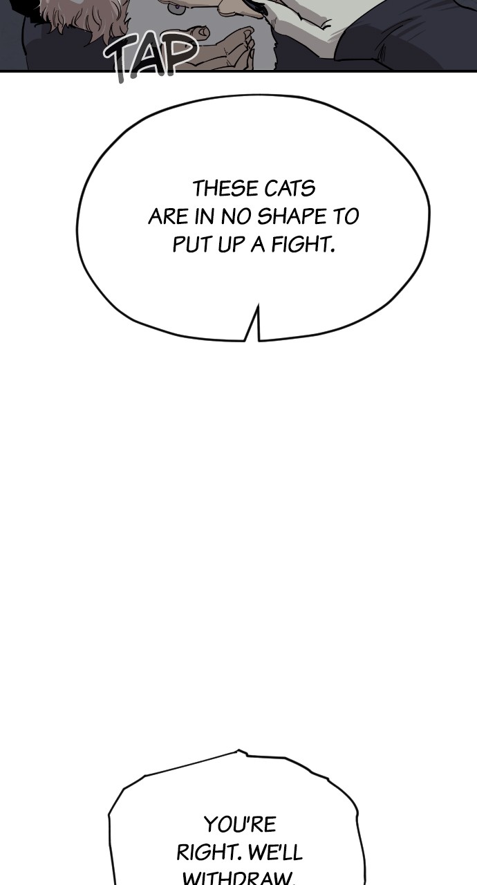 Read Meow Rangers Manga Online
