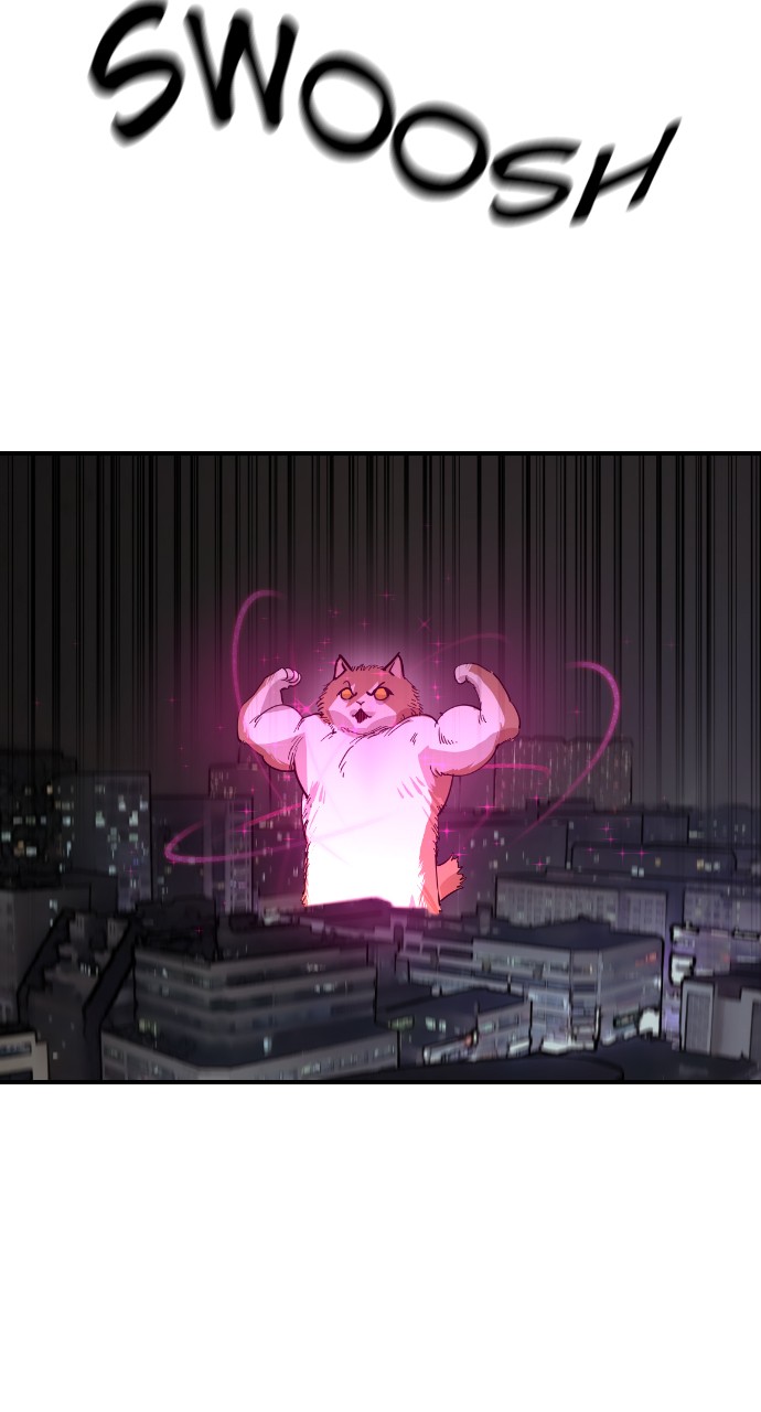 Read Meow Rangers Manga Online