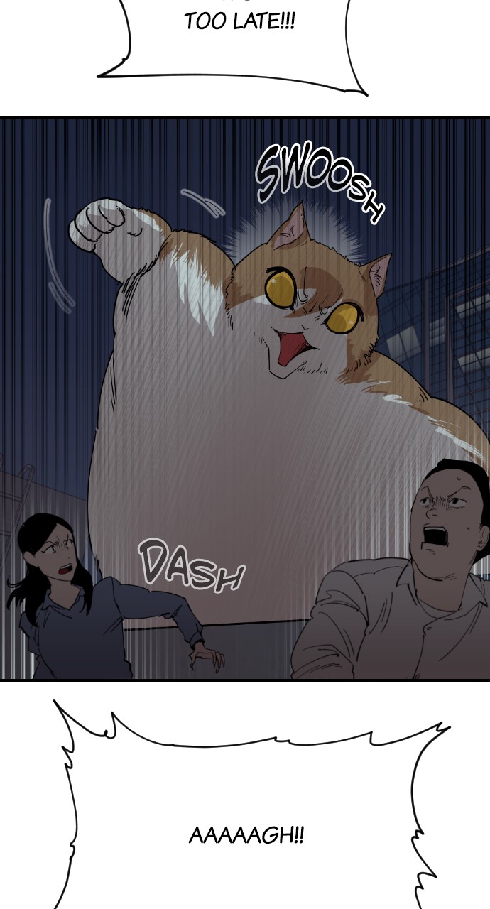 Read Meow Rangers Manga Online