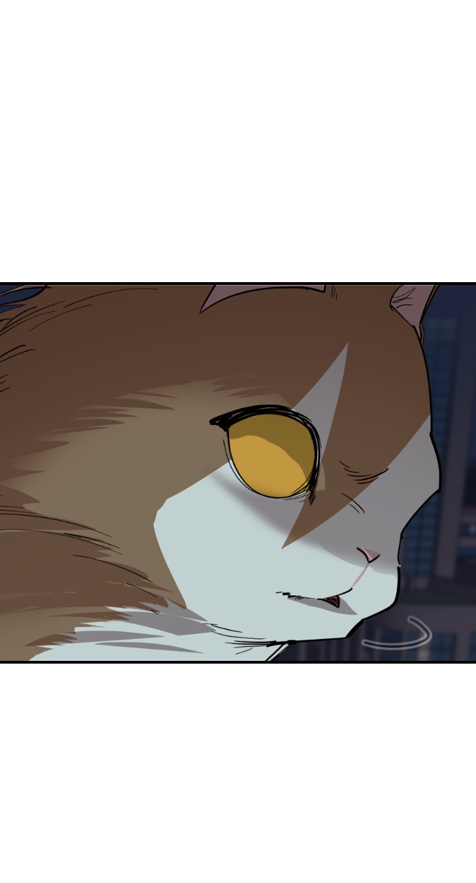 Read Meow Rangers Manga Online