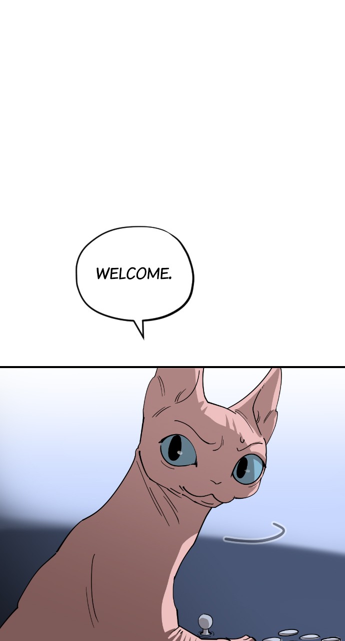 Read Meow Rangers Manga Online