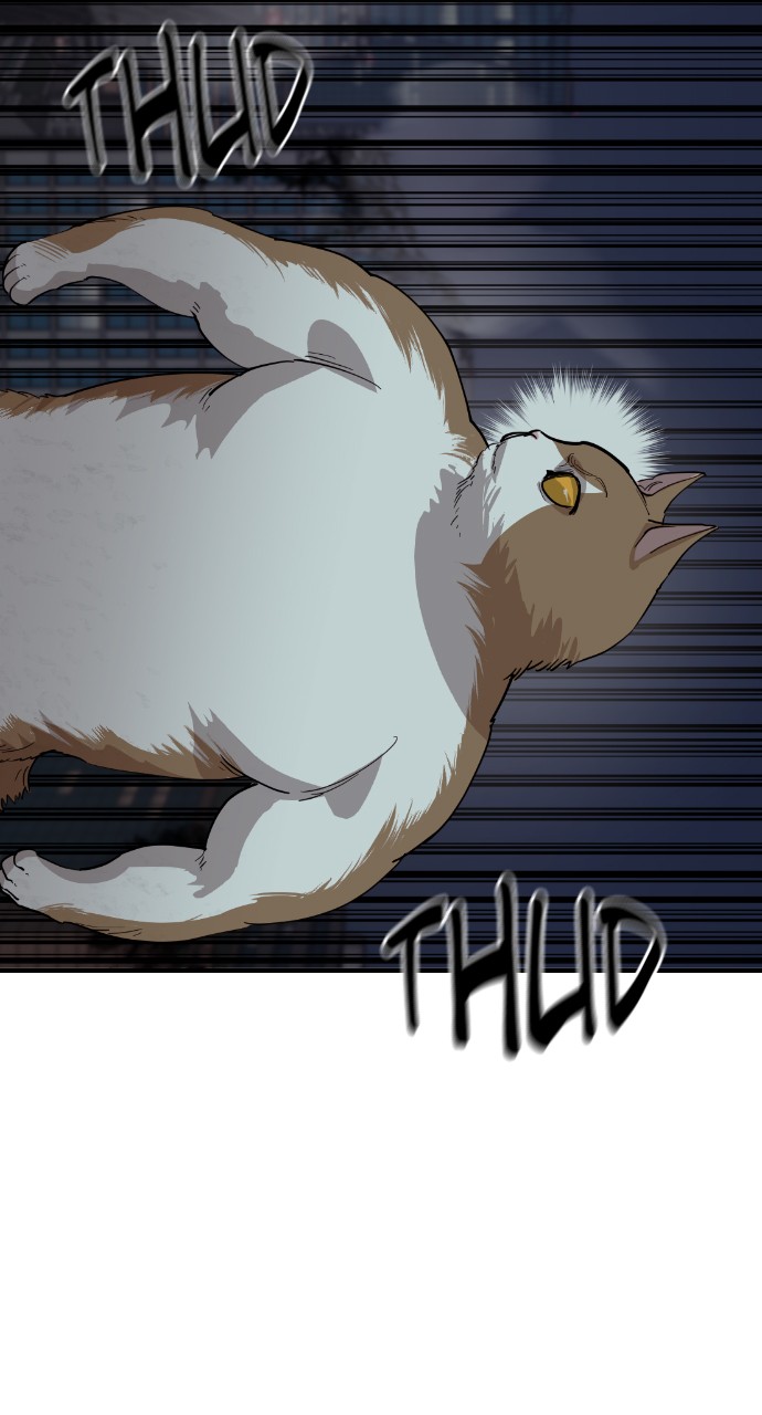 Read Meow Rangers Manga Online