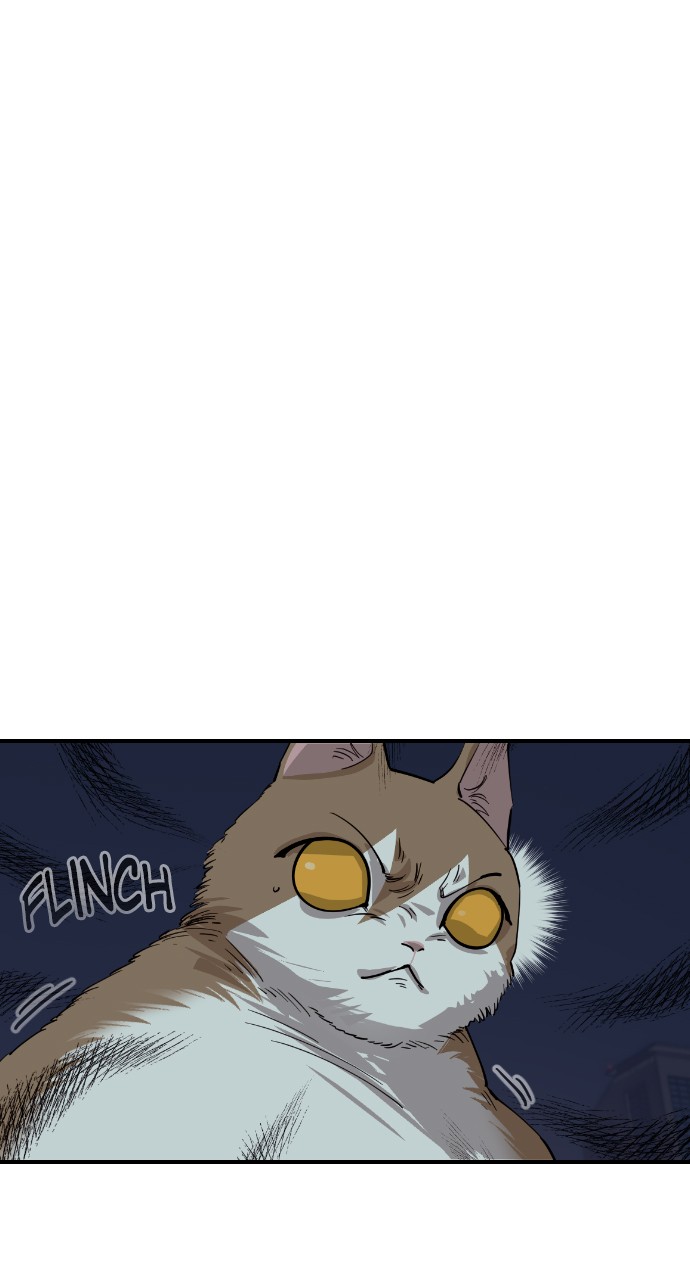 Read Meow Rangers Manga Online