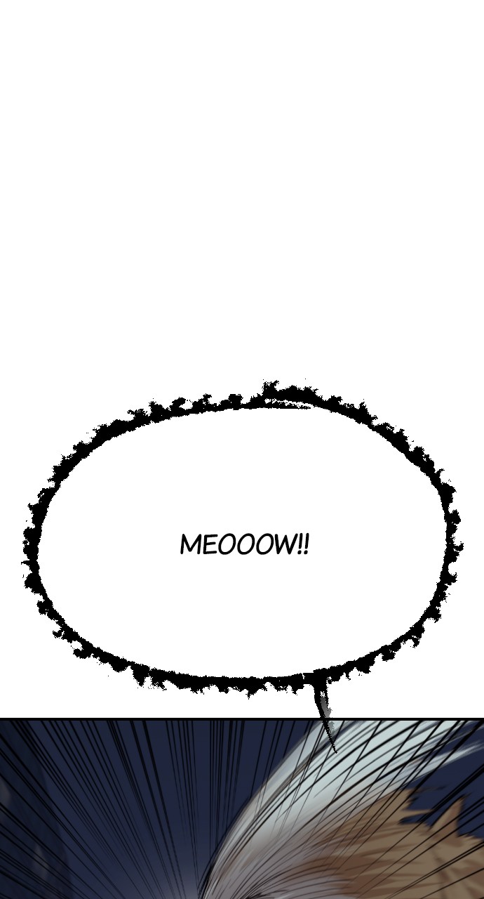 Read Meow Rangers Manga Online