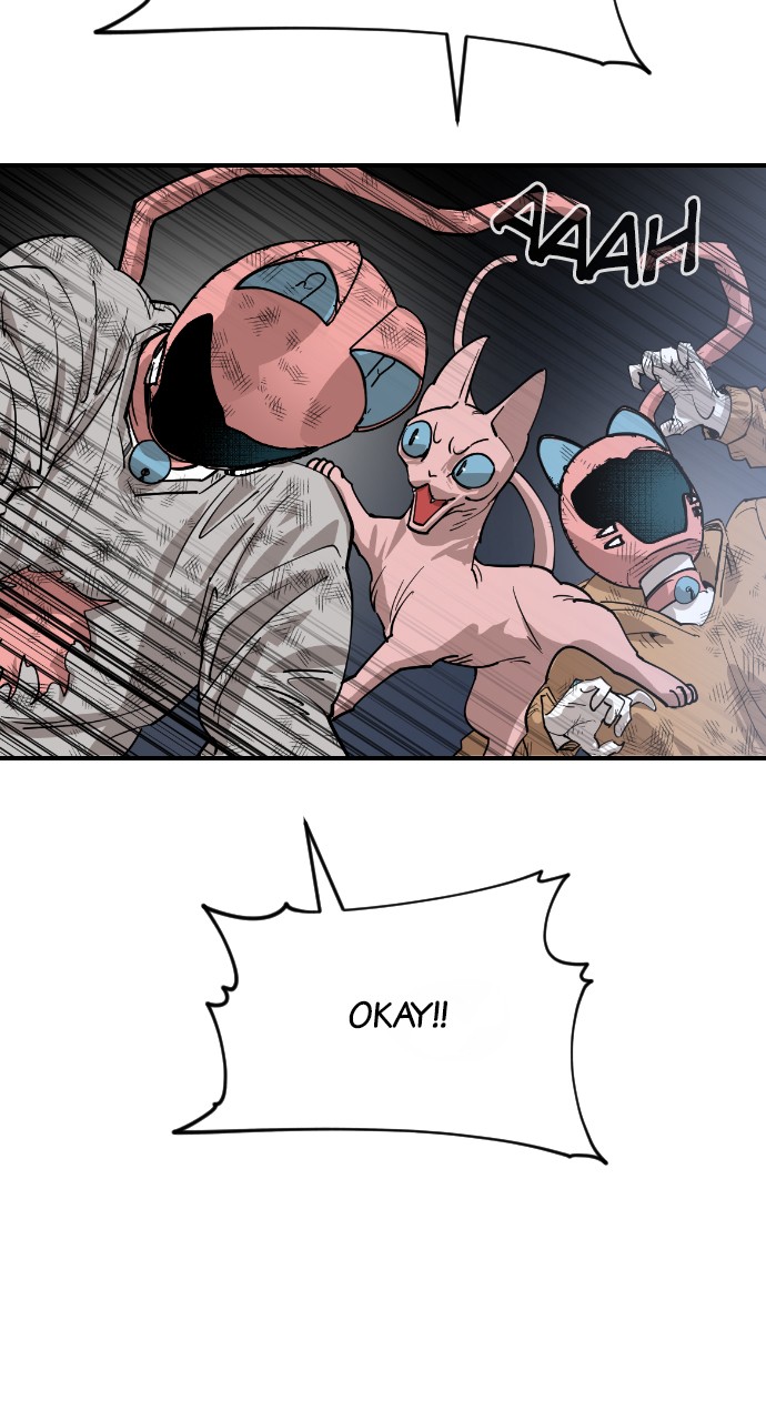 Read Meow Rangers Manga Online