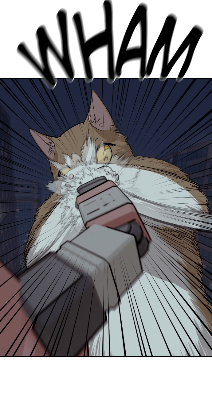 Read Meow Rangers Manga Online