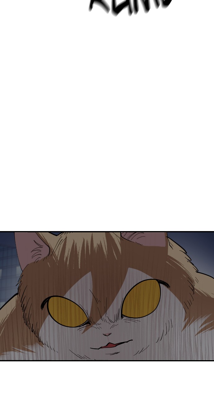 Read Meow Rangers Manga Online