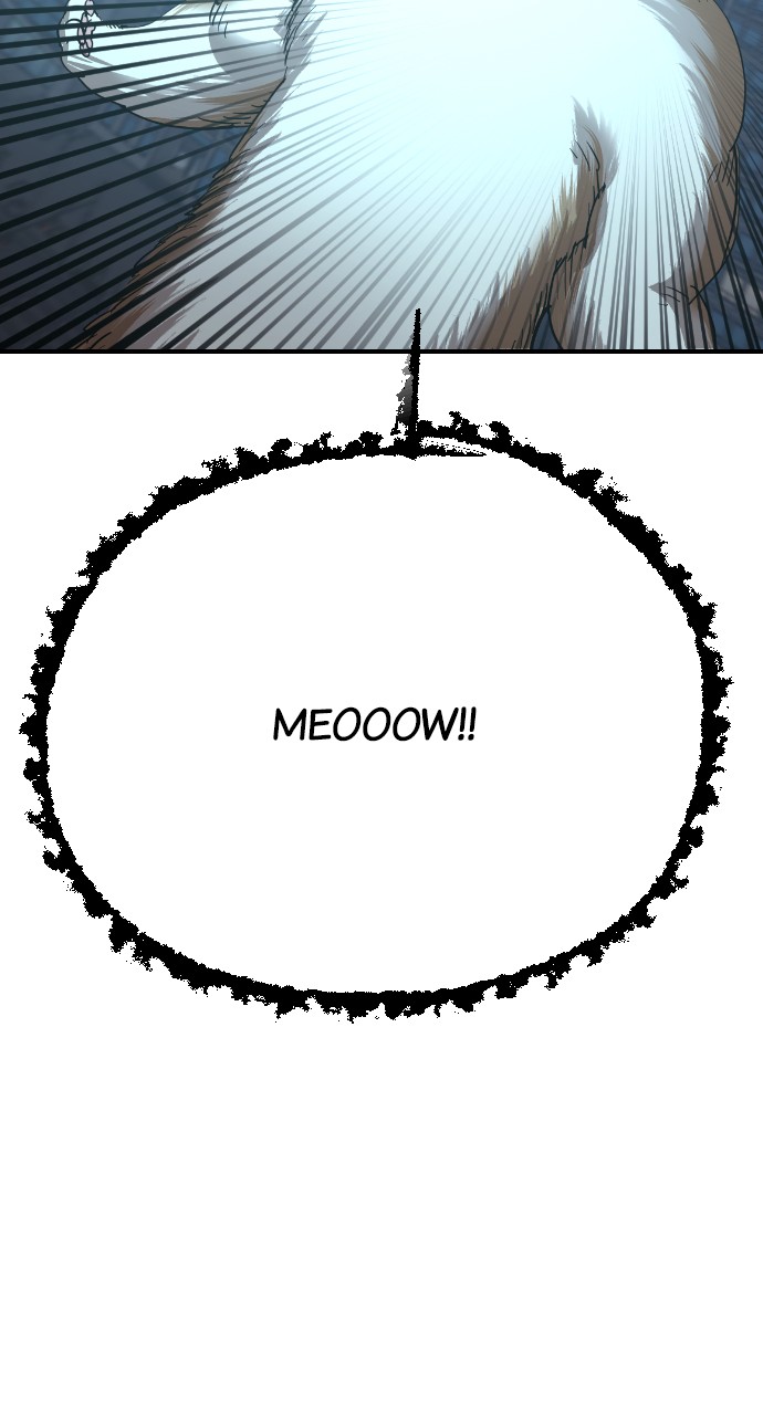 Read Meow Rangers Manga Online
