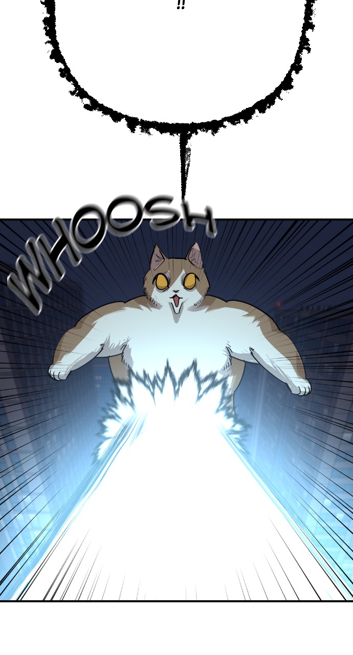 Read Meow Rangers Manga Online