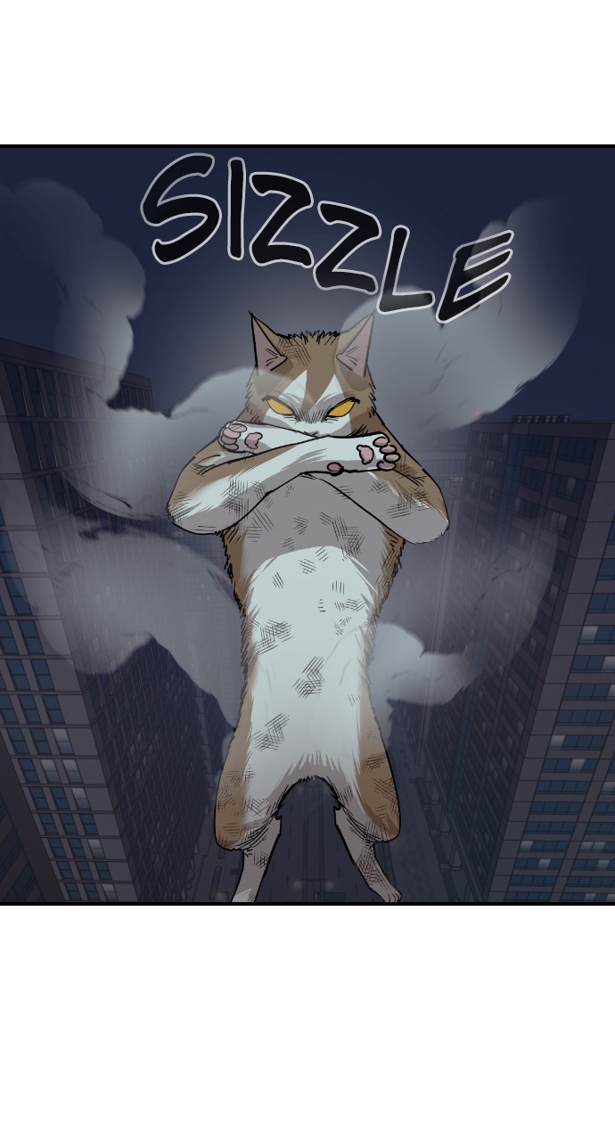 Read Meow Rangers Manga Online