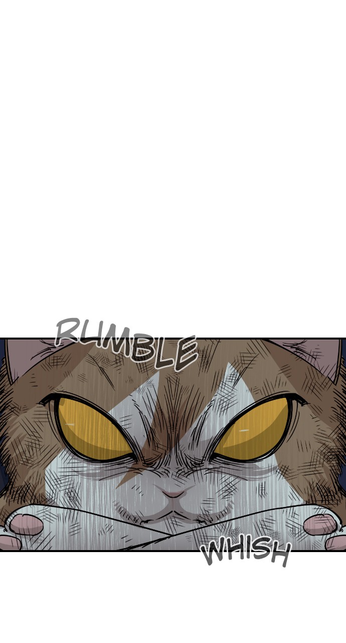 Read Meow Rangers Manga Online