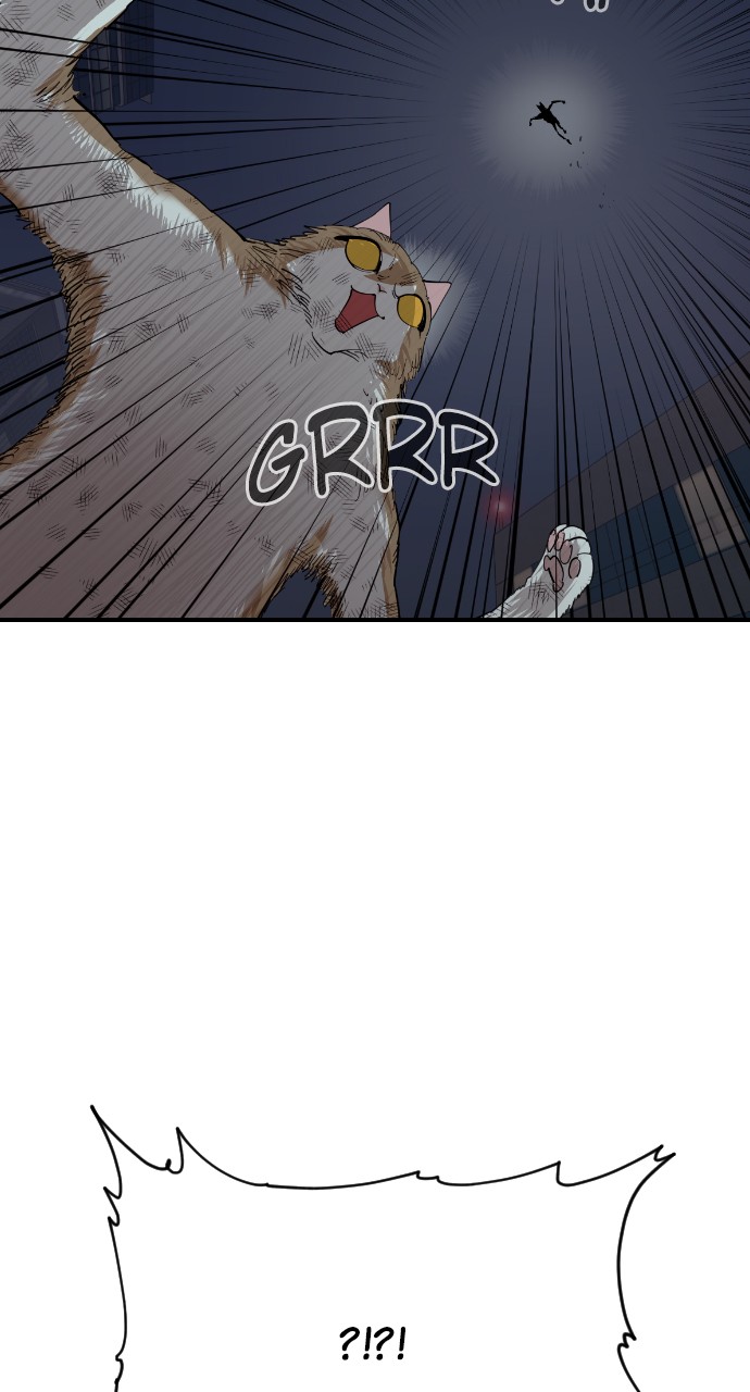 Read Meow Rangers Manga Online