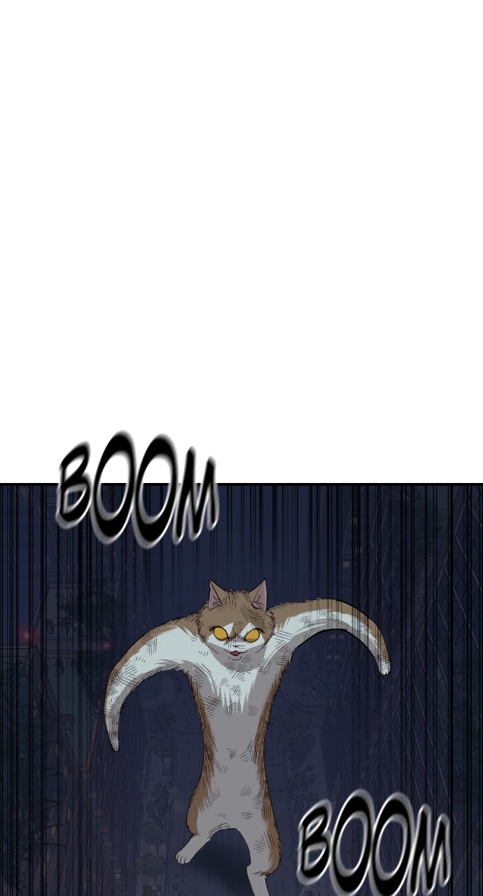 Read Meow Rangers Manga Online