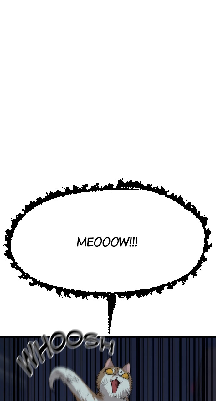 Read Meow Rangers Manga Online