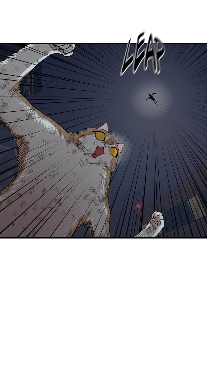 Read Meow Rangers Manga Online
