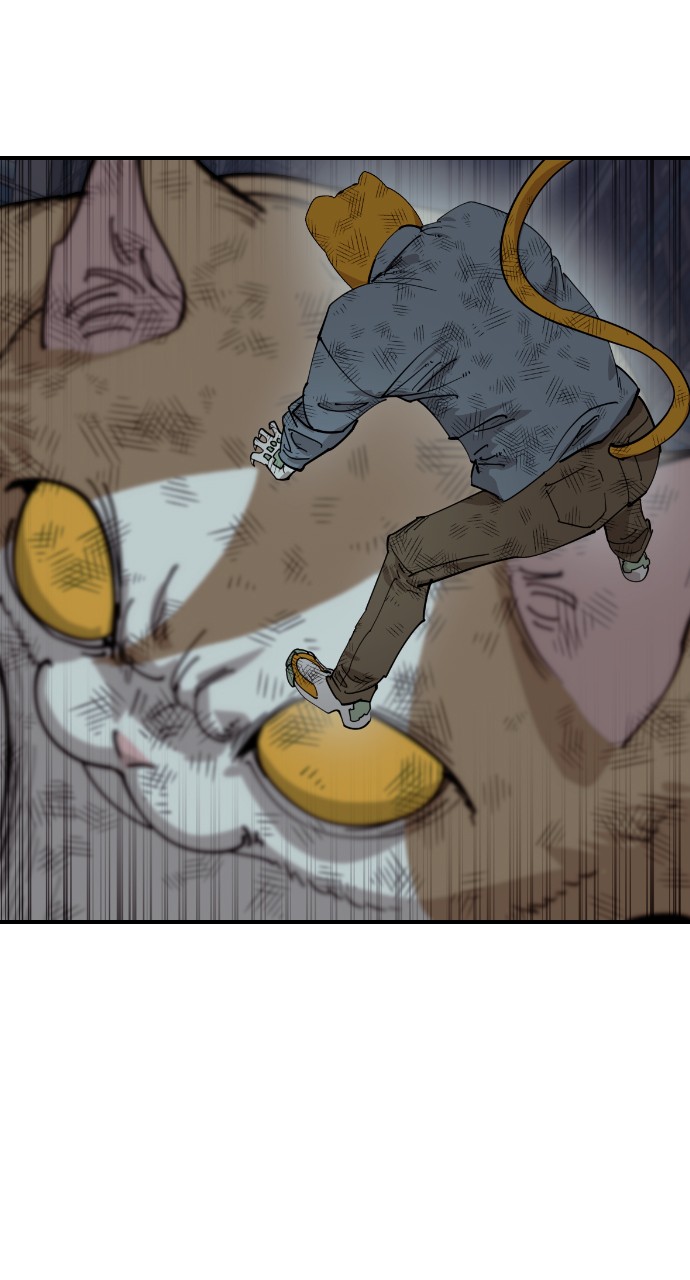 Read Meow Rangers Manga Online