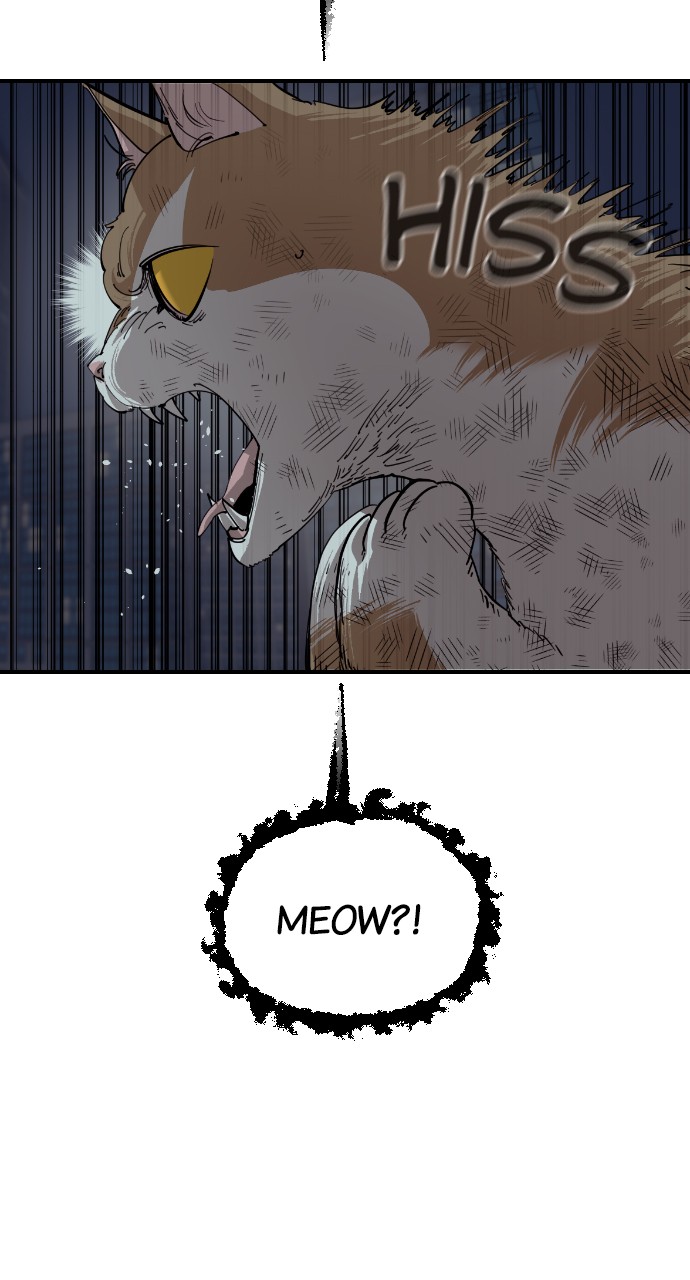 Read Meow Rangers Manga Online