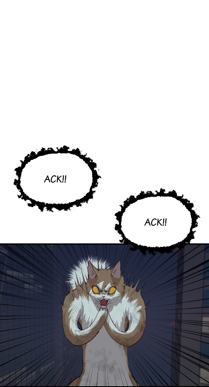 Read Meow Rangers Manga Online