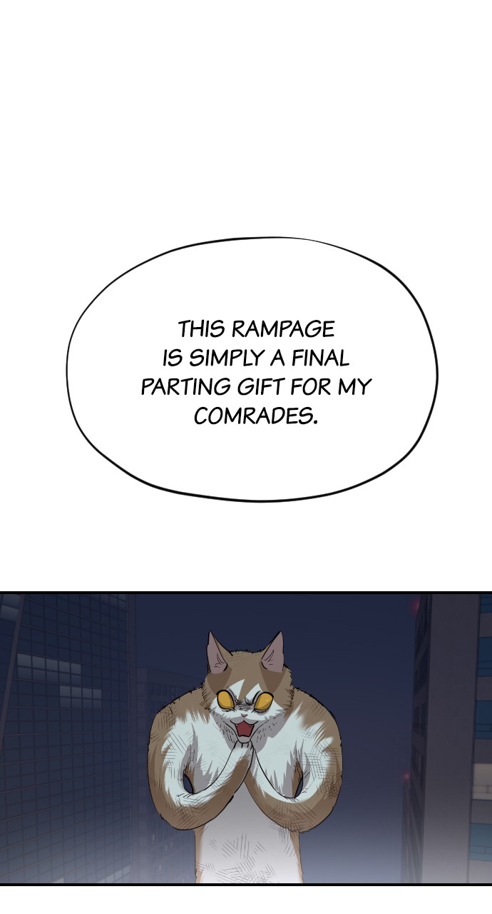 Read Meow Rangers Manga Online