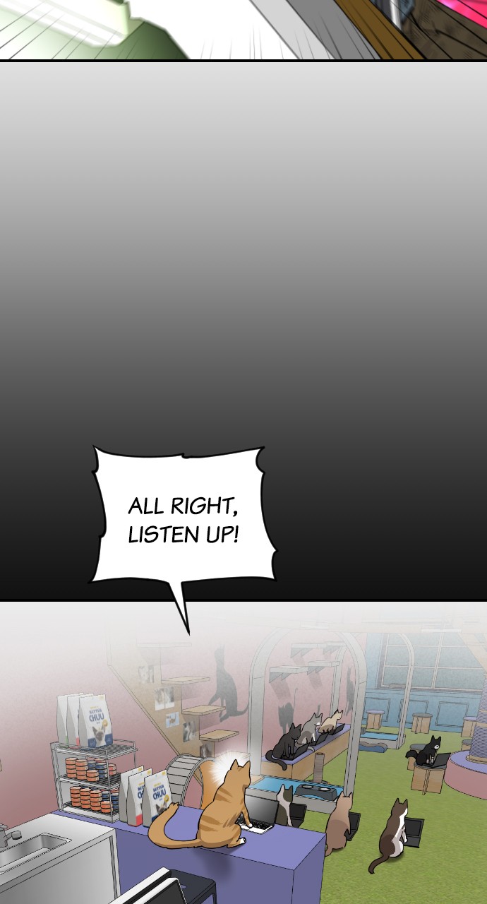 Read Meow Rangers Manga Online
