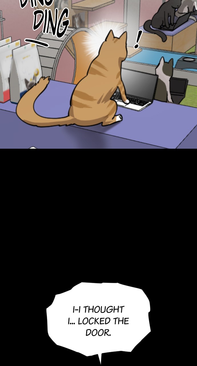 Read Meow Rangers Manga Online