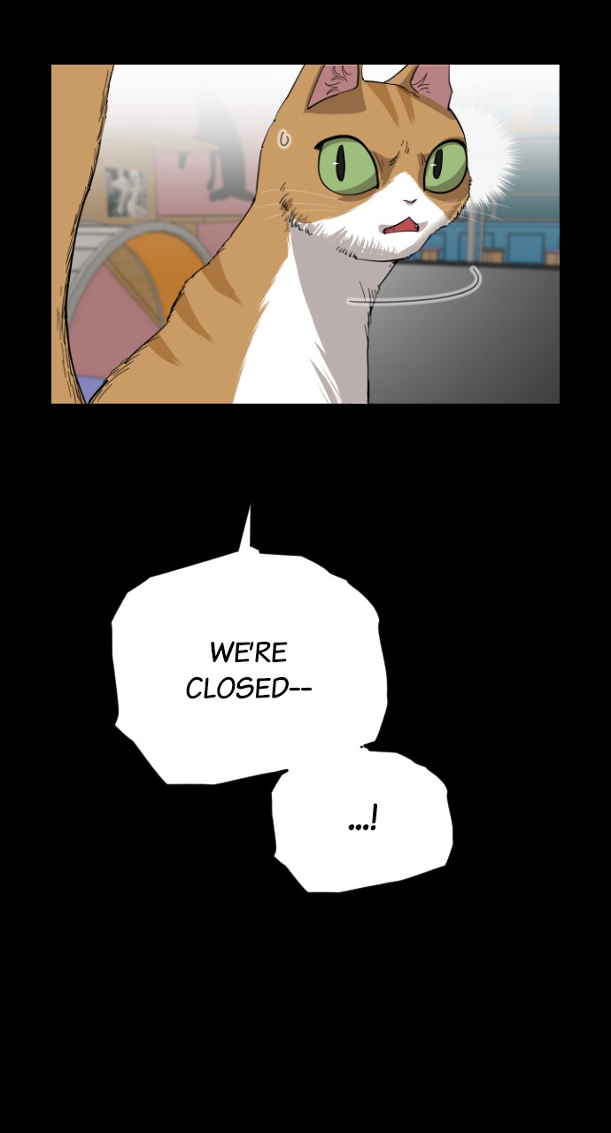 Read Meow Rangers Manga Online