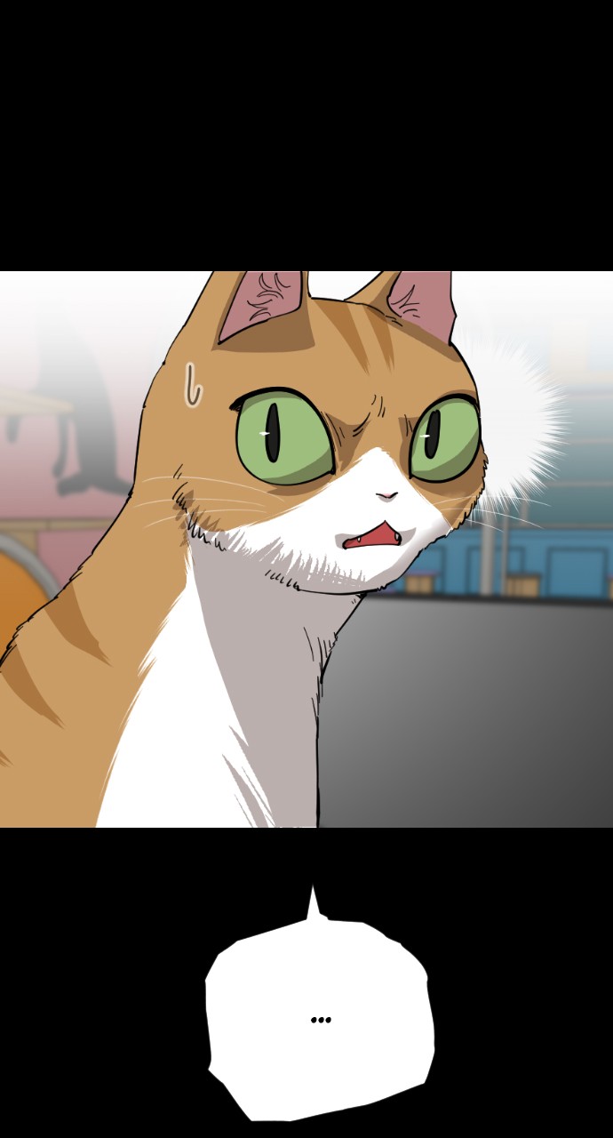 Read Meow Rangers Manga Online