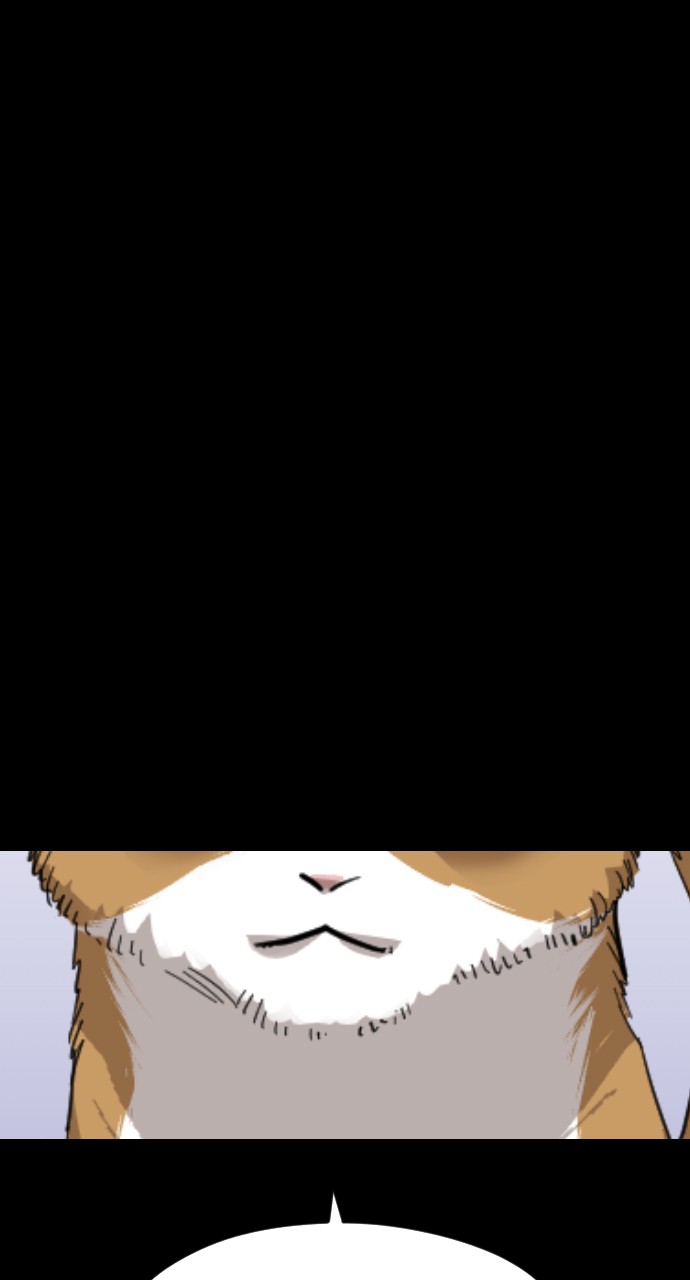 Read Meow Rangers Manga Online