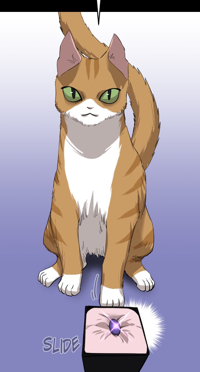 Read Meow Rangers Manga Online